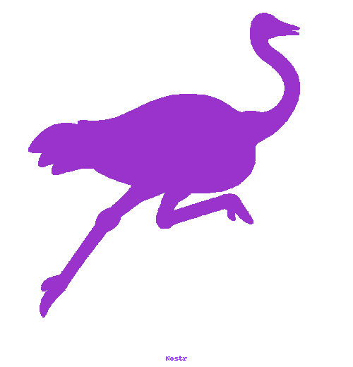 Running Ostrich Nostr Icon